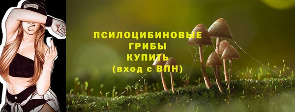 первитин Ступино