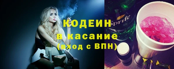 индика Тобольск